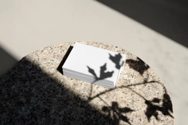 Blank business card stack mockup placed on a stone surface with soft shadows from nearby leaves.