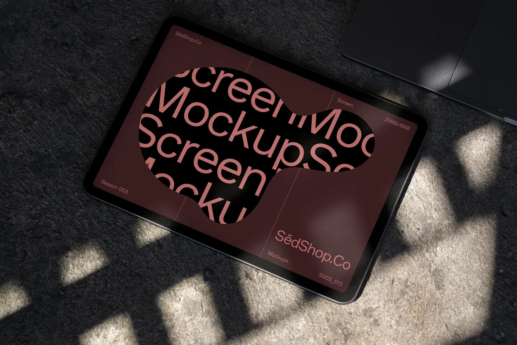 iPad Pro Mockup S003-013