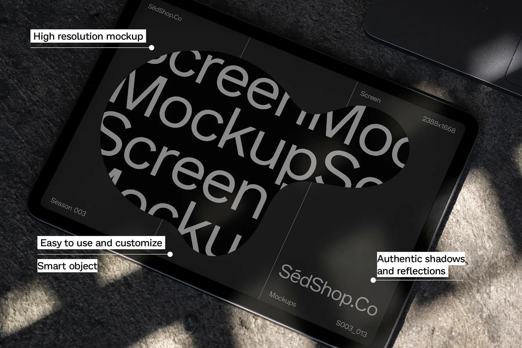 iPad Pro Mockup S003-013