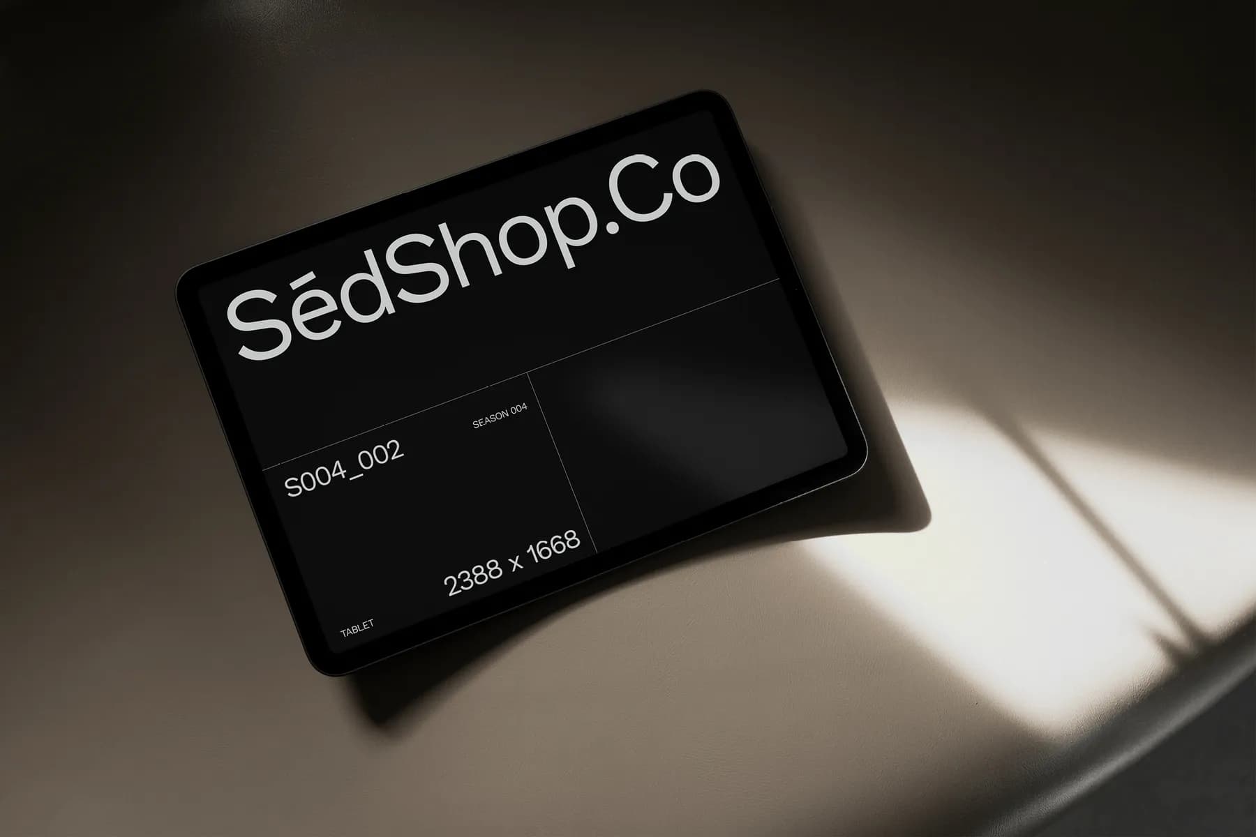 iPad Pro Mockup S004-002