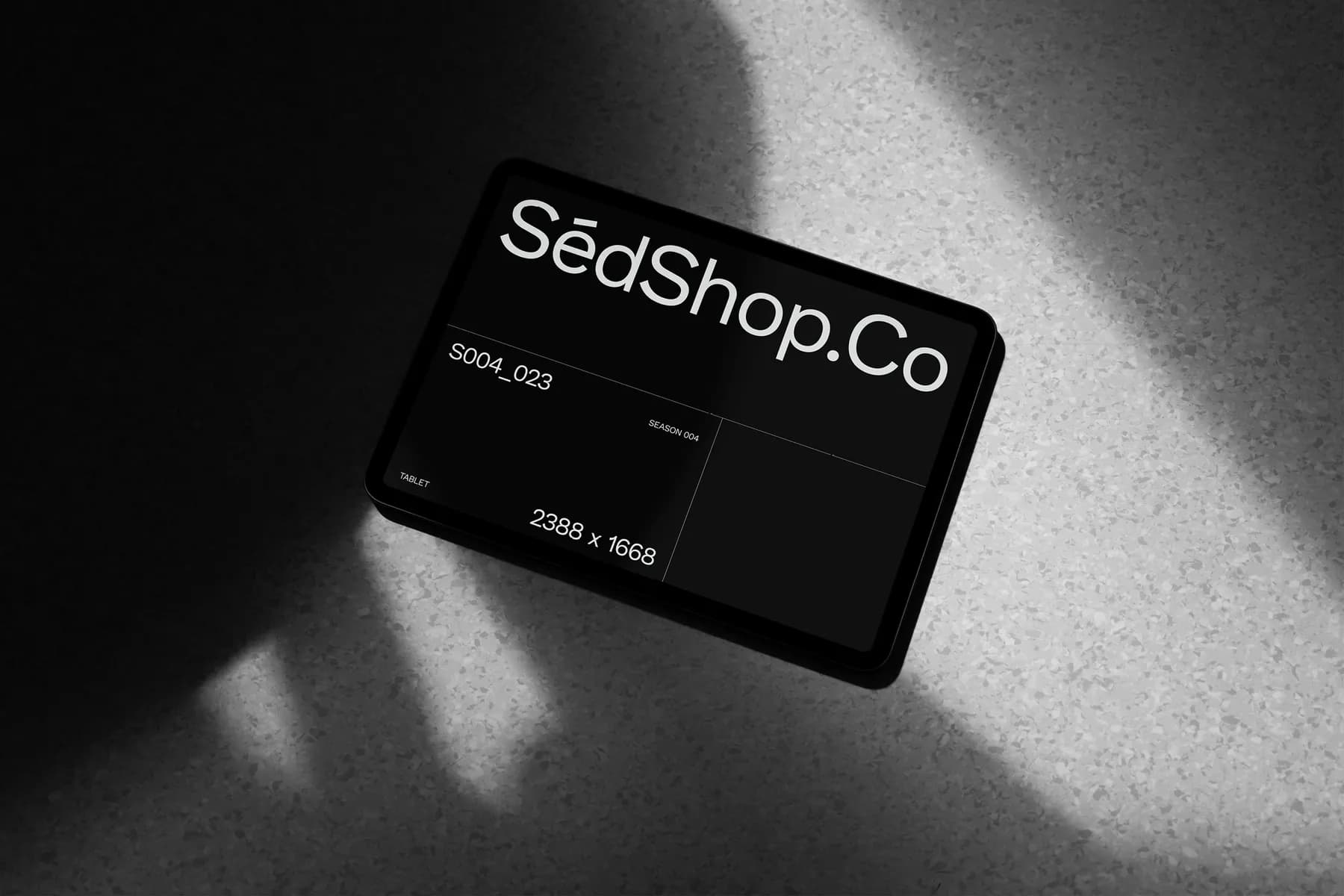 iPad Pro Mockup S004-023