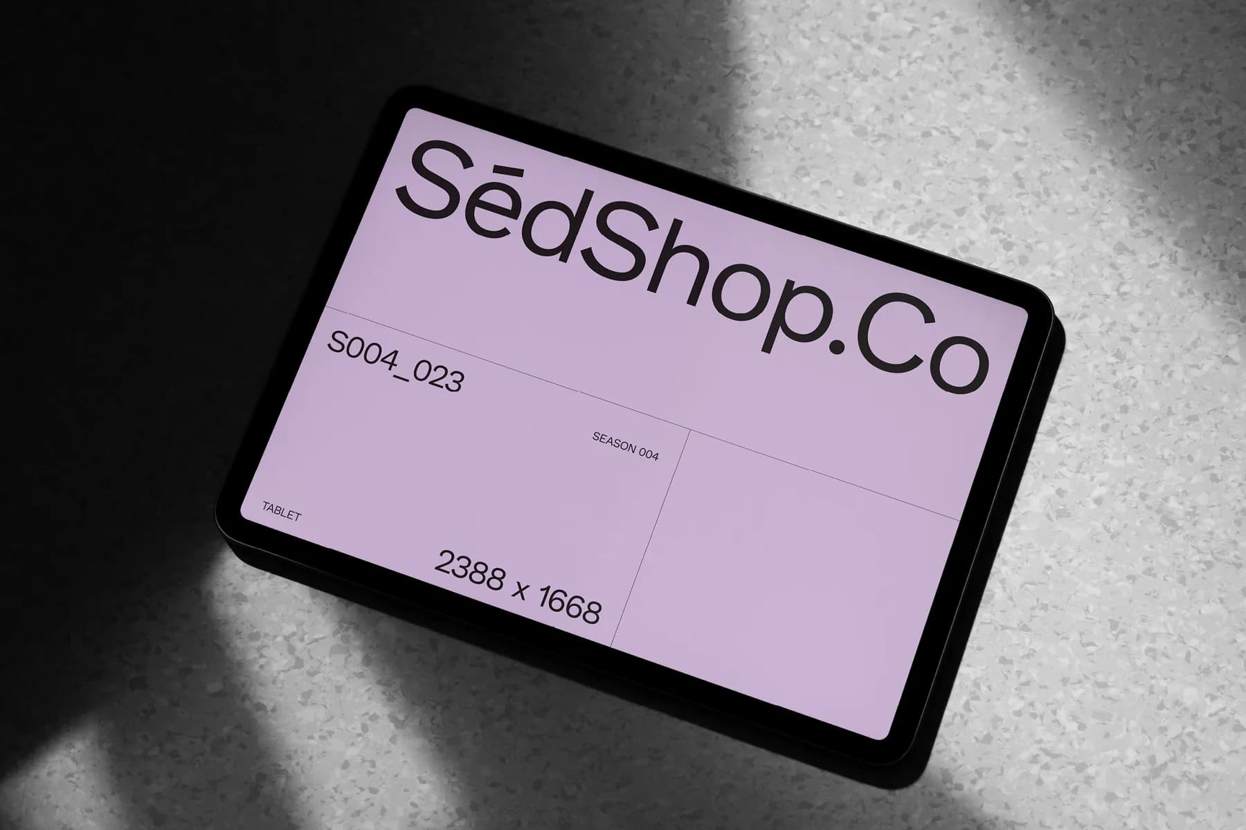 iPad Pro Mockup S004-023