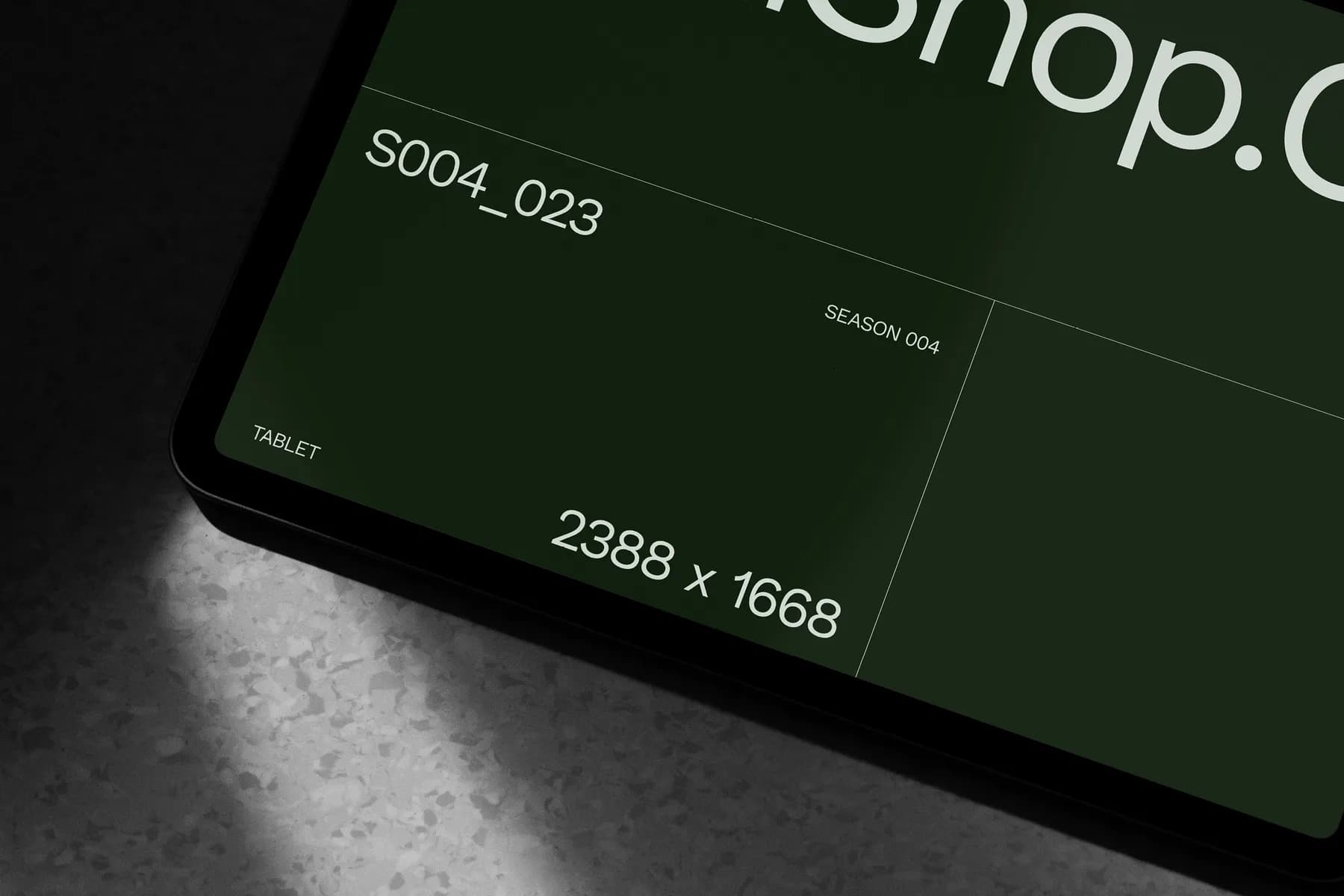 iPad Pro Mockup S004-023