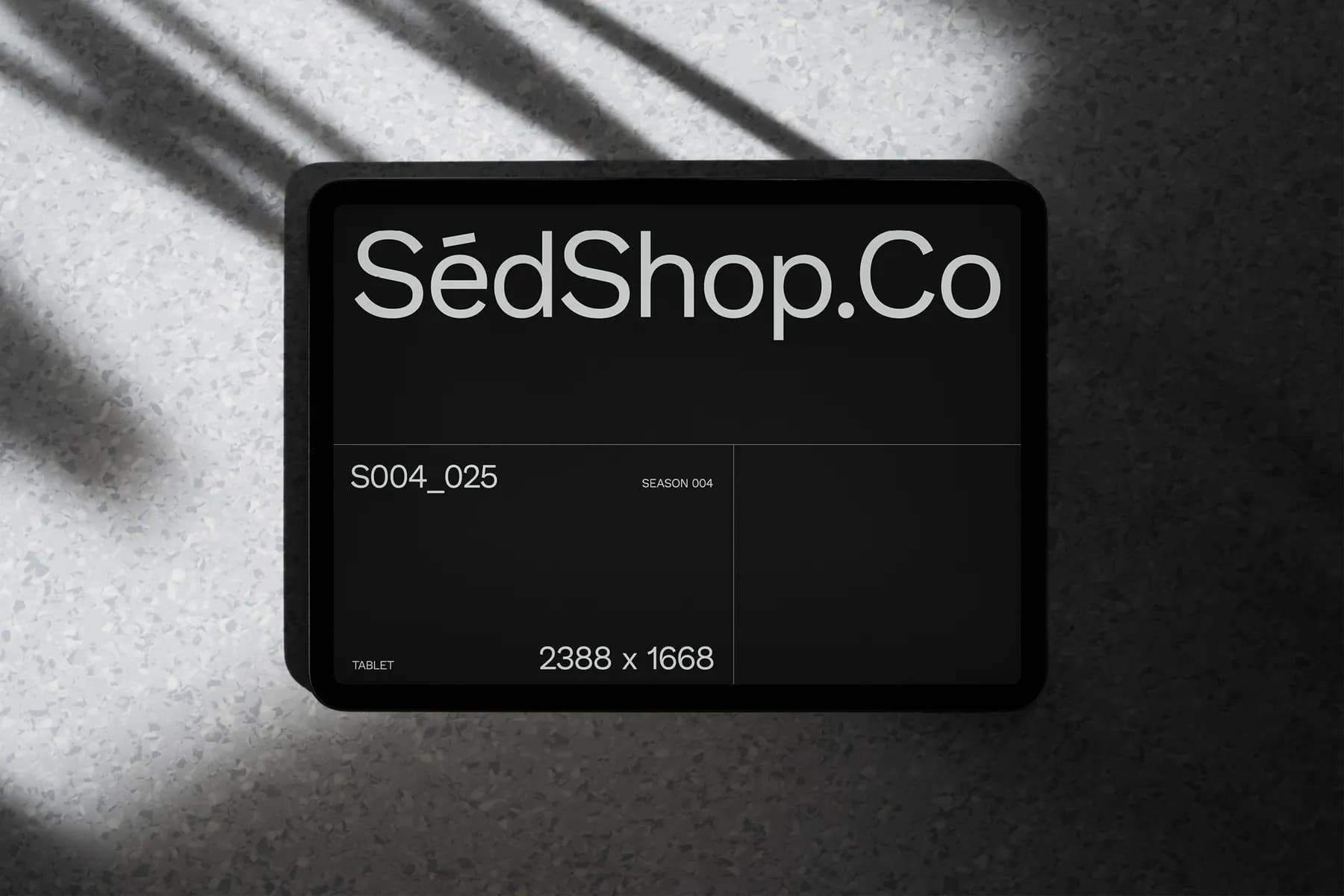 iPad Pro Mockup S004-025