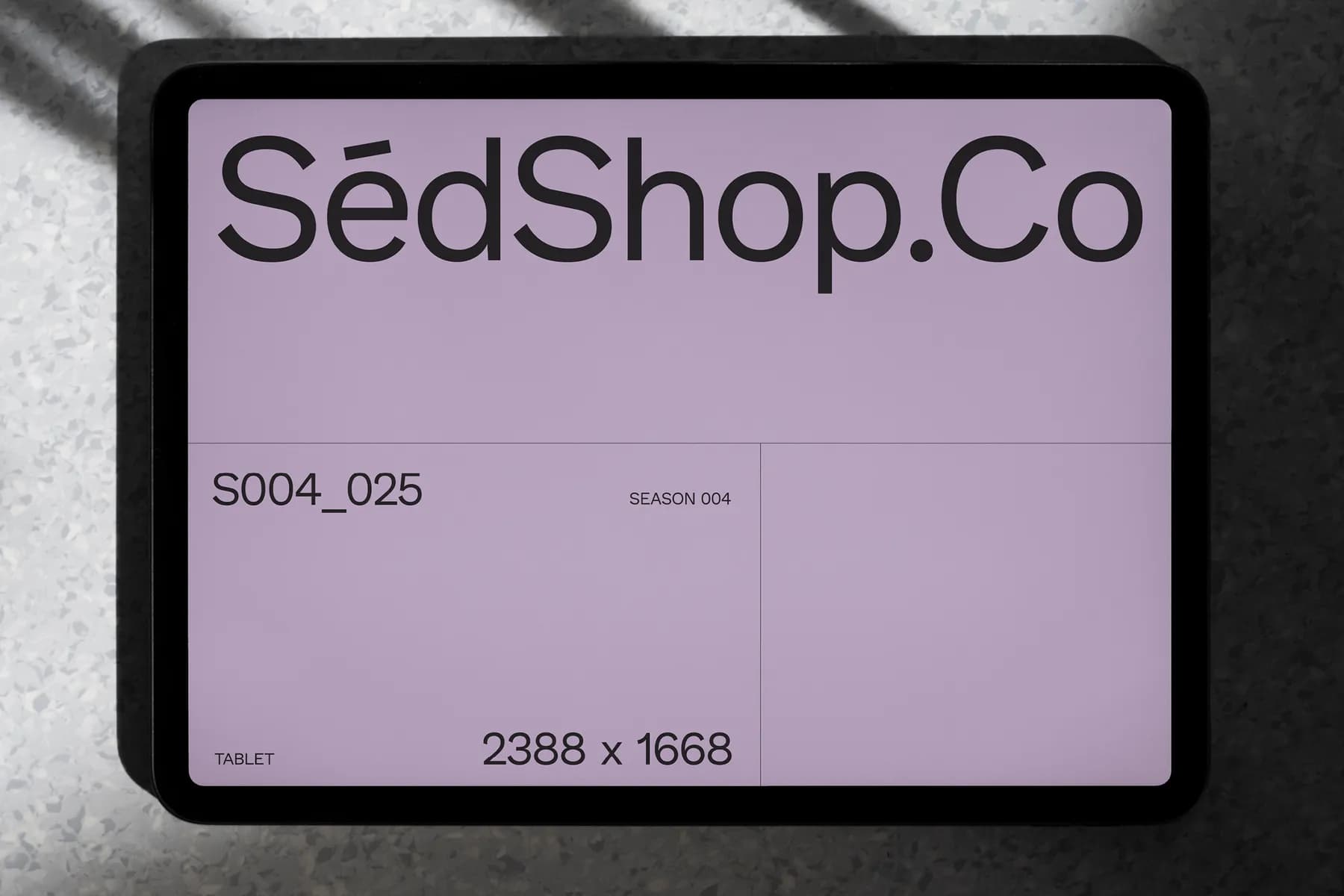 iPad Pro Mockup S004-025