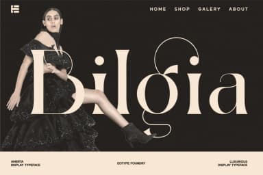 Amerta Display Font