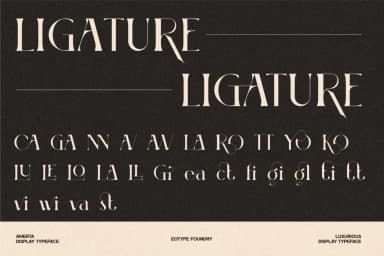 Amerta Display Font