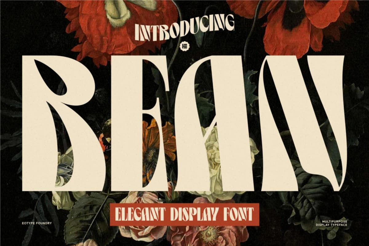 Bean Display Typeface