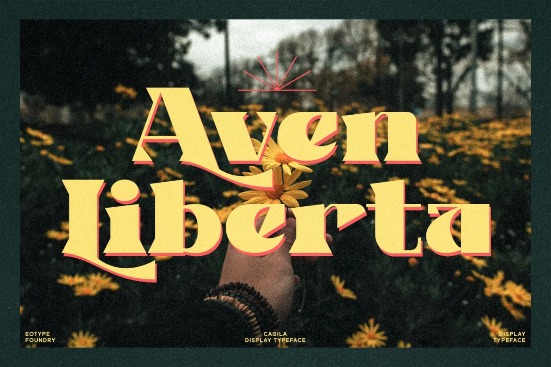 Cagila Display Font