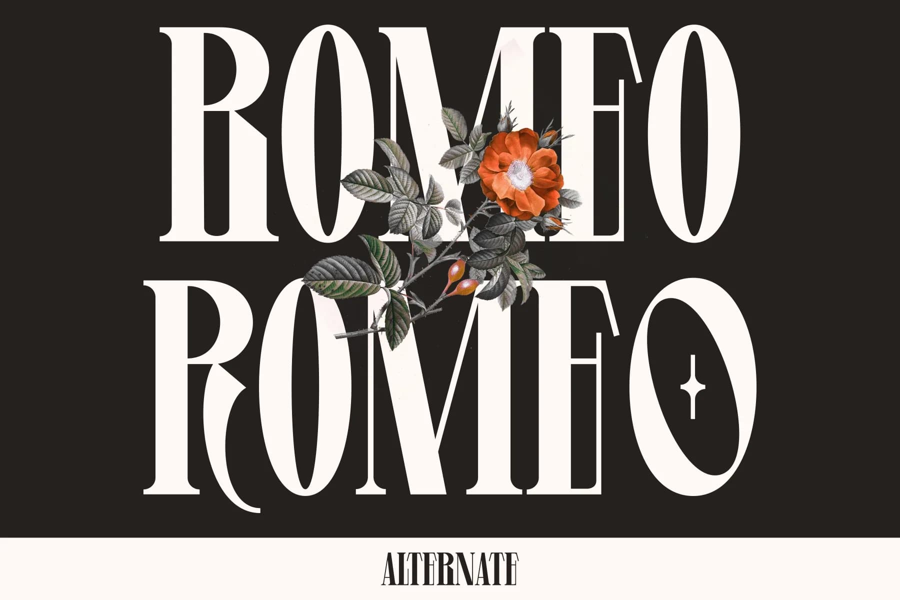 Levine Display Font
