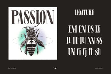Levine Display Font