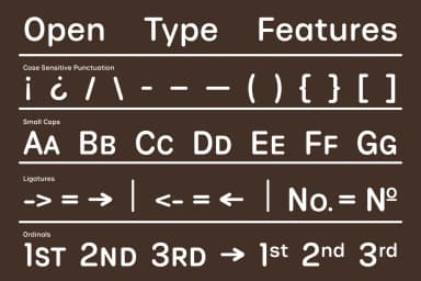 Phluff Round Variable Font Family