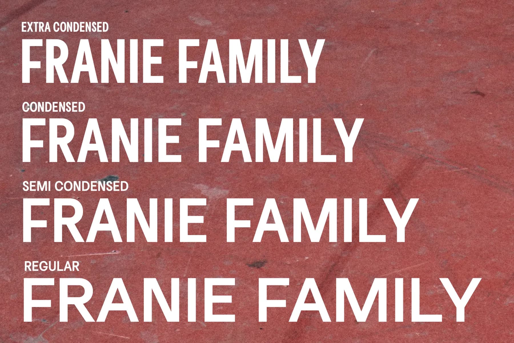 Franie Variable Family 72 Styles