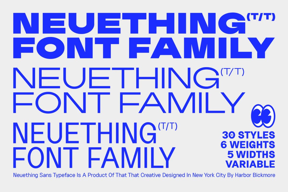 Neuething Sans Variable Font (30 Styles)