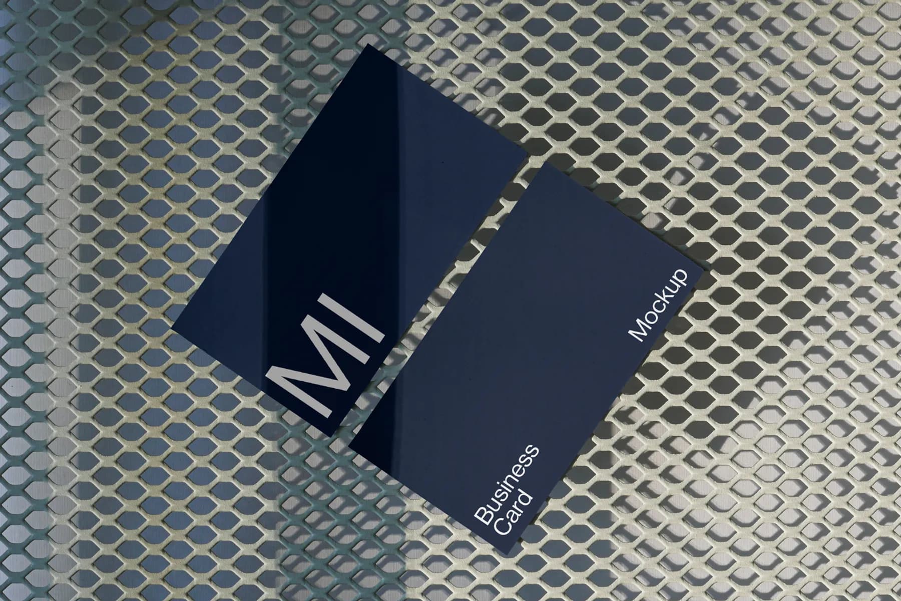 Business Card Mockup 01