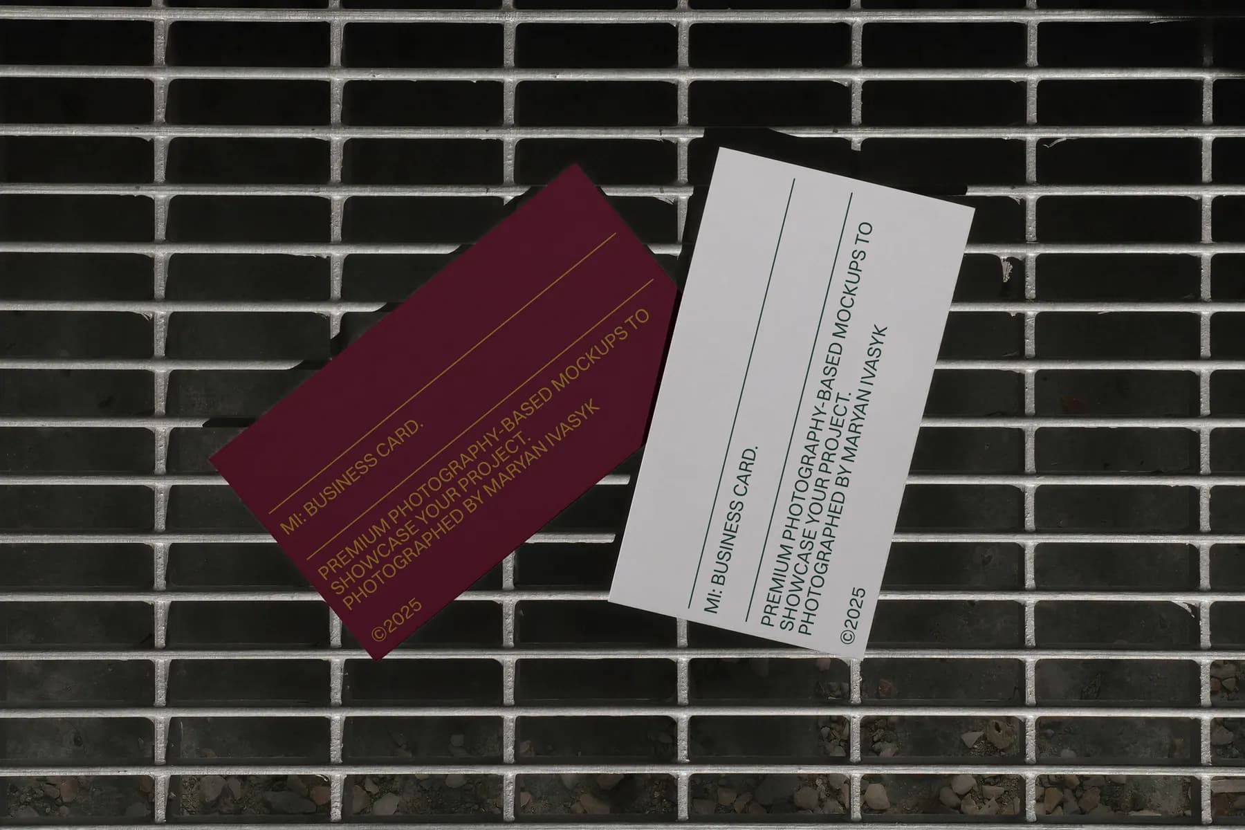 Business Card Mockup 02