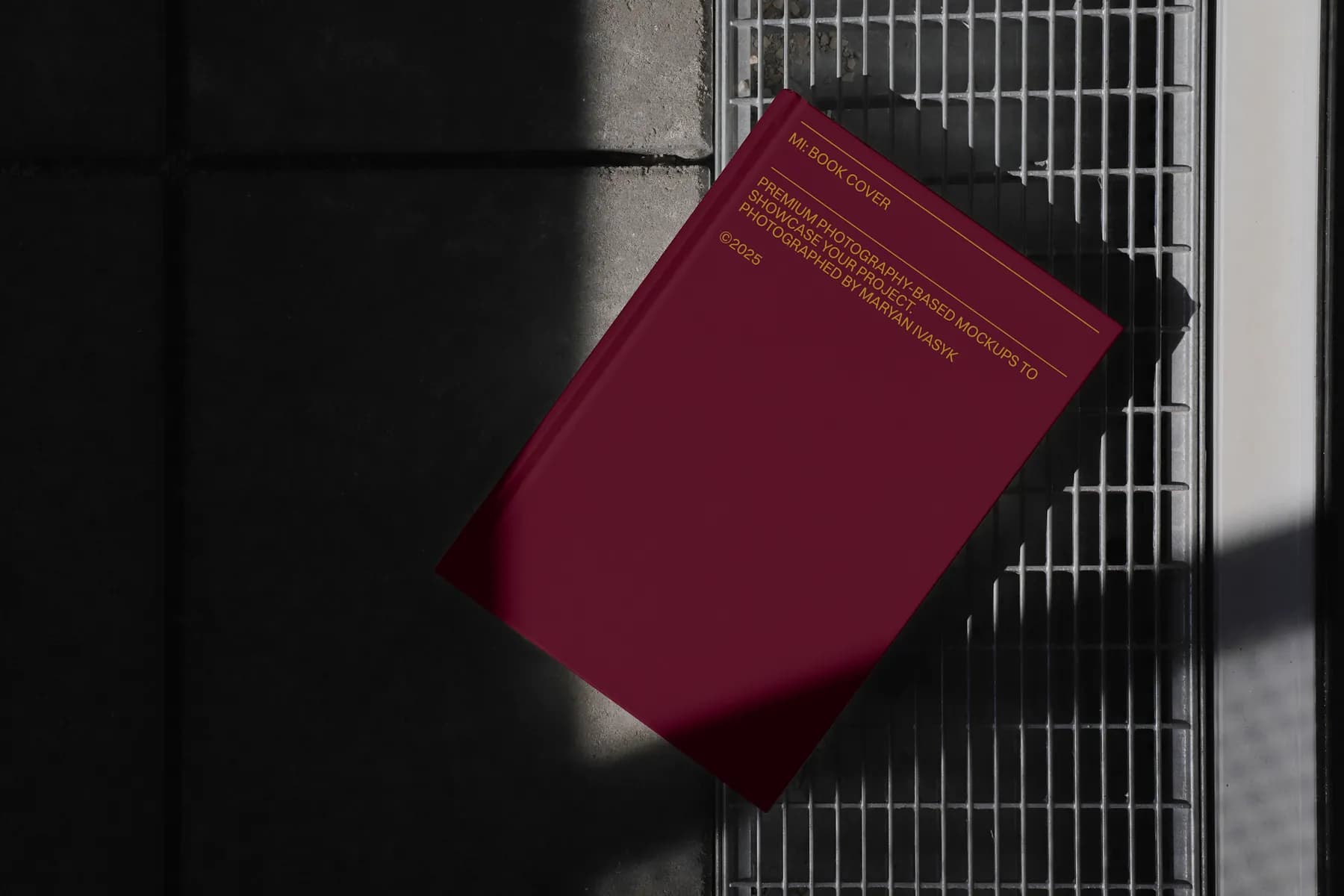 Book Cover 02
